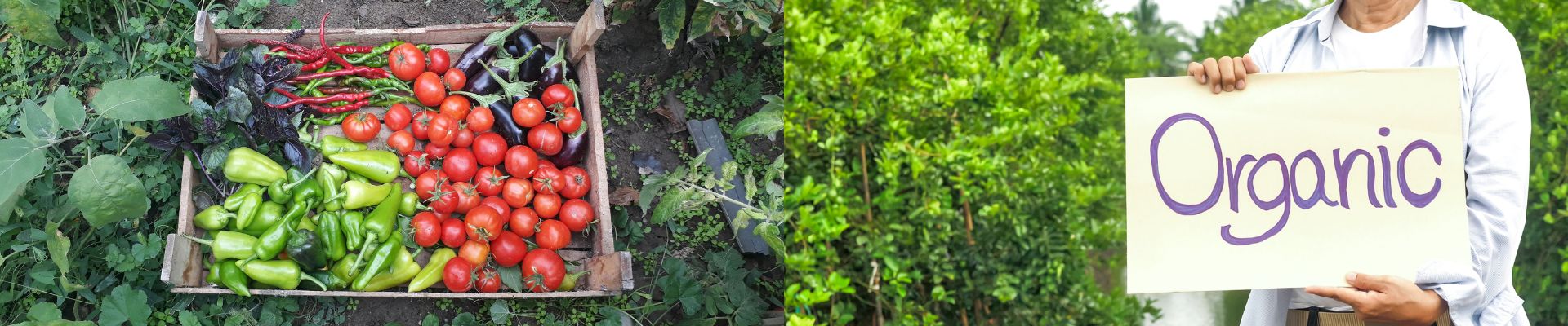 Organic Farming