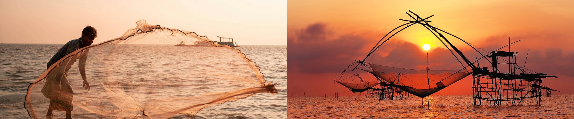 Aquaculture & Fisheries